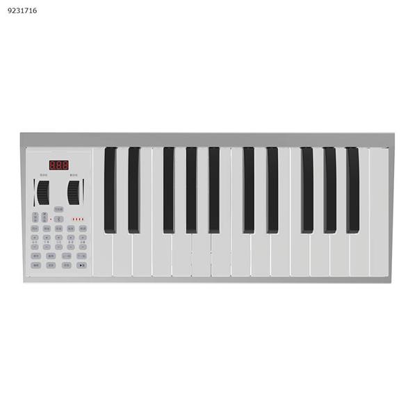 Beginner keyboard piano 25 Kyes, professional electronic piano  Musical Instruments  KD08-V358-25