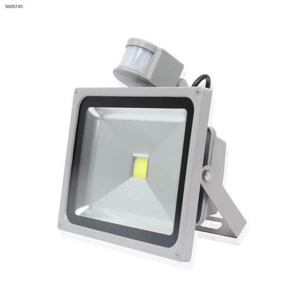 LED outdoors cast light Infrared Induction Lamp for Human Body （30W Silver white light） Decorative light 30W