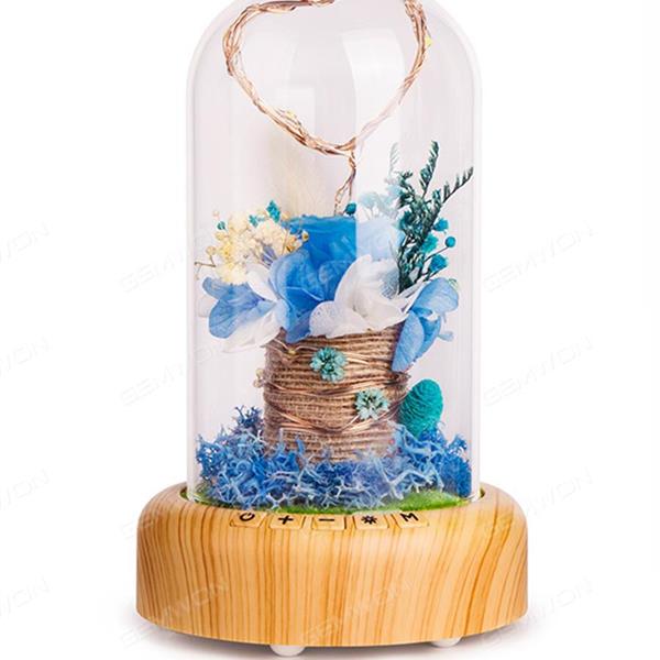 Streamer sound，Creative Christmas wish flow light bottle decoration lamp, blue flowers LED Ltrip Streamer sound
