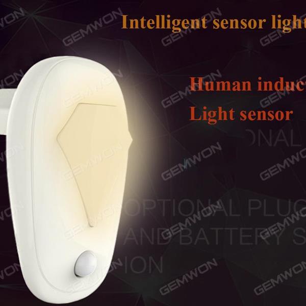 LED night light ,light-dependent control,human body induction.Venue decoration.EU plug ,white LED Bulb N/A